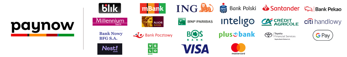 Logo paynow